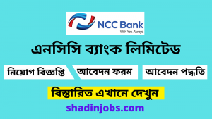 এনসিসি ব্যাংক নিয়োগ বিজ্ঞপ্তি ২০২৬-NCC job circular 2026 6 এনসিসি ব্যাংক নিয়োগ বিজ্ঞপ্তি ২০২৬