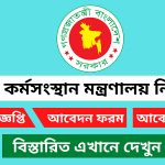 শ্রম ও কর্মসংস্থান মন্ত্রণালয় নিয়োগ বিজ্ঞপ্তি ২০২৫