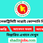 নর্দান ইলেকট্রিসিটি সাপ্লাই কোম্পানি লিমিটেড (নেসকো) নিয়োগ বিজ্ঞপ্তি ২০২৬