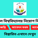 বরিশাল বিশ্ববিদ্যালয় নিয়োগ বিজ্ঞপ্তি ২০২৫