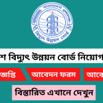 বাংলাদেশ বিদ্যুৎ উন্নয়ন বোর্ড নিয়োগ বিজ্ঞপ্তি ২০২৫