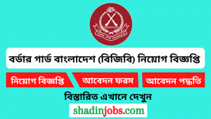 বর্ডার গার্ড বাংলাদেশ বিজিবি নিয়োগ বিজ্ঞপ্তি ২০২৪