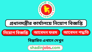 প্রধানমন্ত্রীর কার্যালয়ে নিয়োগ বিজ্ঞপ্তি ২০২৬ 6 প্রধানমন্ত্রীর কার্যালয়ে নিয়োগ বিজ্ঞপ্তি ২০২৬