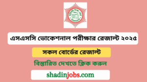 এসএসসি ভোকেশনাল পরীক্ষার রেজাল্ট ২০২৫