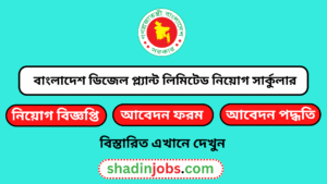 বাংলাদেশ ডিজেল প্ল্যান্ট লিমিটেড নিয়োগ বিজ্ঞপ্তি ২০২৫