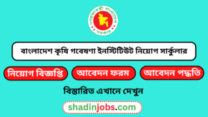 বাংলাদেশ কৃষি গবেষণা ইনস্টিটিউট নিয়োগ বিজ্ঞপ্তি ২০২৬