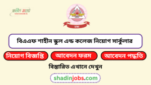 বিএএফ শাহীন স্কুল এন্ড কলেজ নিয়োগ বিজ্ঞপ্তি ২০২৬