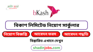 বিকাশ কোম্পানি নিয়োগ বিজ্ঞপ্তি ২০২৬